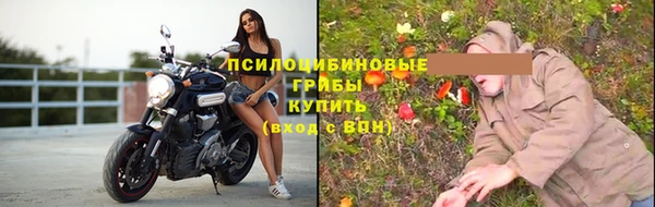 spice Белоозёрский