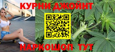 молекула духа Будённовск
