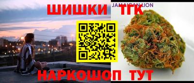 молекула духа Будённовск