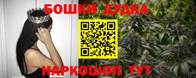 молекула духа Будённовск