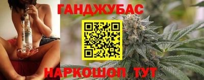 молекула духа Будённовск