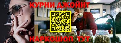 молекула духа Будённовск