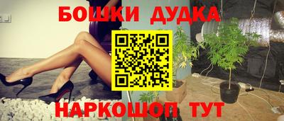 молекула духа Будённовск
