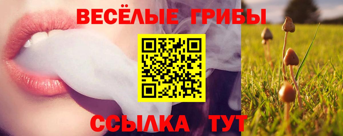 Галлюциногенные грибы GOLDEN TEACHER  Вязники 