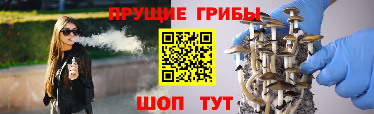 Псилоцибиновые грибы ЛСД Вязники