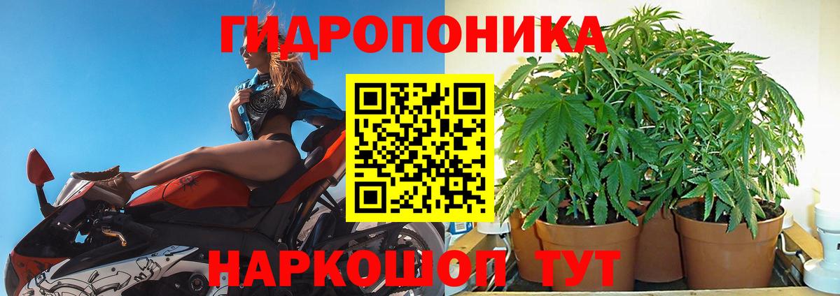 Шишки марихуана MAZAR  Конопля MAZAR  Конопля гибрид  Вход с VPN  Вязники 